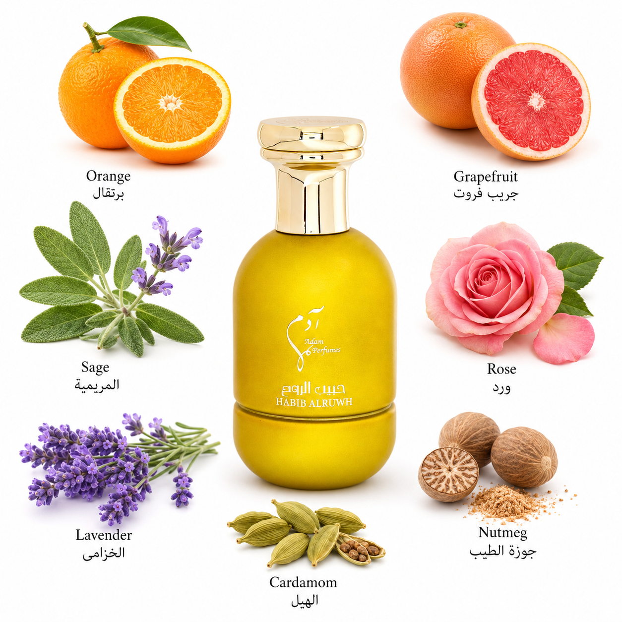 عطر حبيب الروح